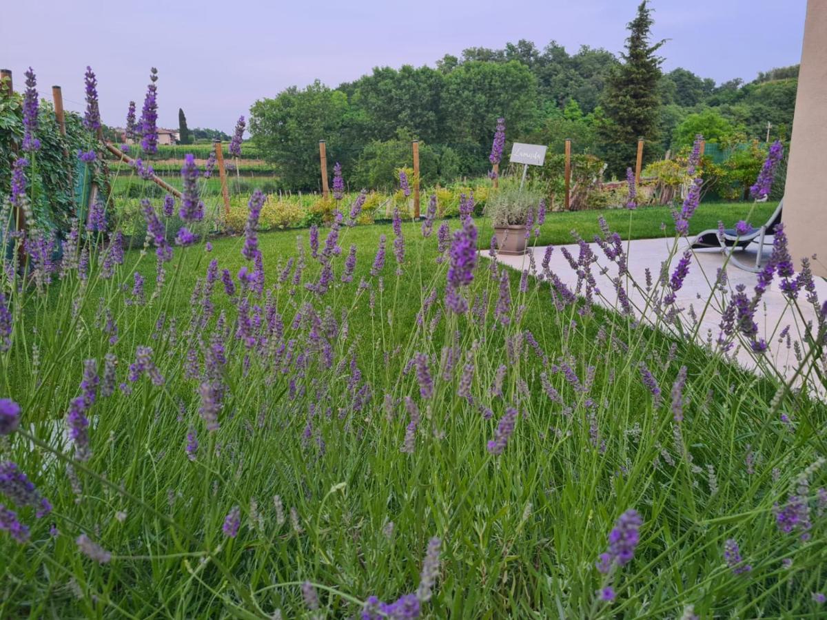 Residence Le Aromatiche Cavaion Veronese Exterior foto